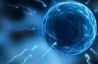 试管第5天胚胎4AB成功率？质量和着床率高吗？