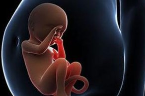 赣州地区做试管婴儿哪些人群可以免于降调处理？