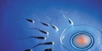 成都单身女性在哪里可以做试管，四川试管医院名单附成功率