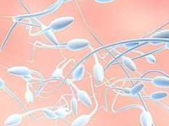 宁波地区有哪些私立的机构可以做试管技术？促排卵针的正确注射部位是哪里？