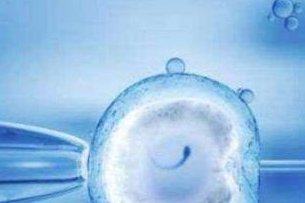 想提高试管成功率这些因素不能忽略！做试管婴儿想要提高成功率！